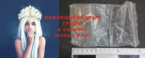 сатива Карталы