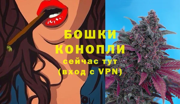 сатива Карталы