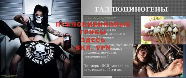 сатива Карталы